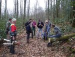 Formation Vivea